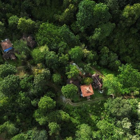 Mahout Resort Wayanad - An Experiential Jungle Stay With Waterfall กัลปัตตา ภายนอก รูปภาพ
