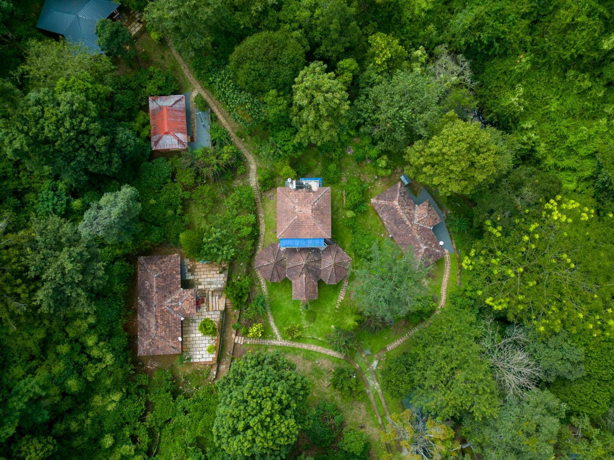 Mahout Resort Wayanad - An Experiential Jungle Stay With Waterfall กัลปัตตา ภายนอก รูปภาพ
