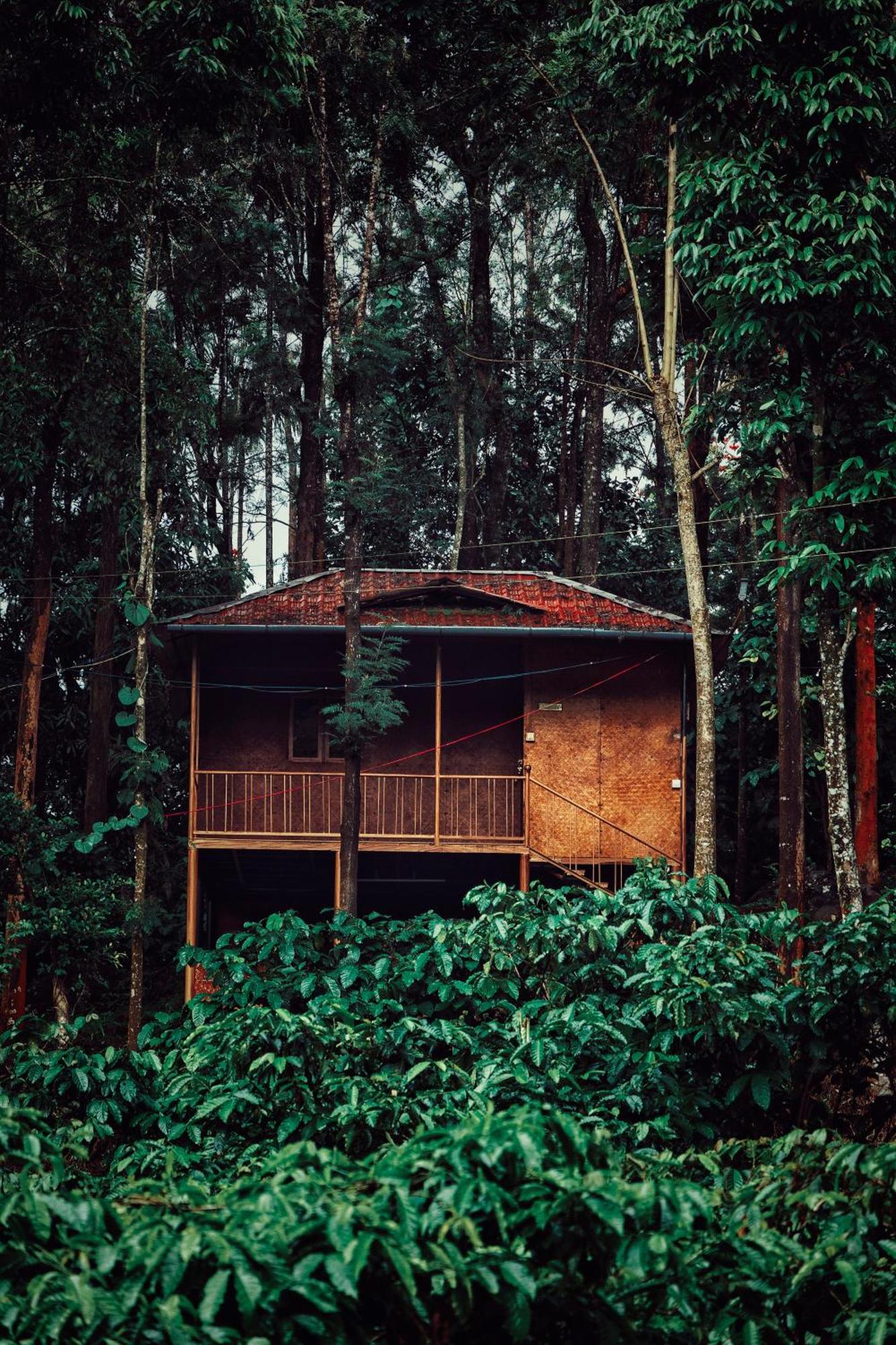 Mahout Resort Wayanad - An Experiential Jungle Stay With Waterfall กัลปัตตา ภายนอก รูปภาพ