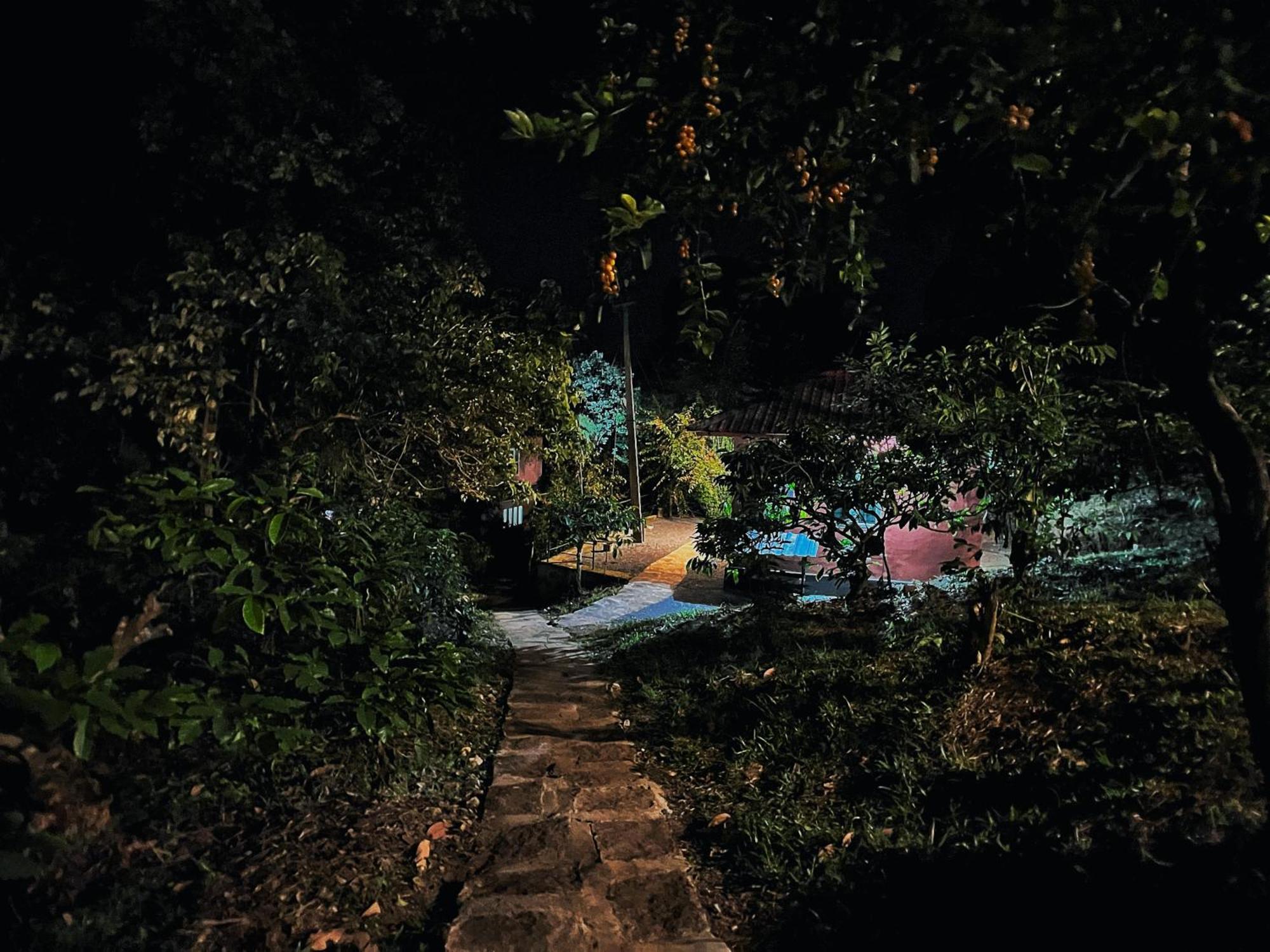 Mahout Resort Wayanad - An Experiential Jungle Stay With Waterfall กัลปัตตา ภายนอก รูปภาพ