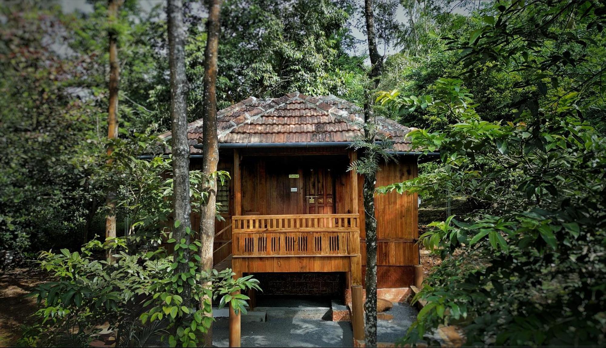 Mahout Resort Wayanad - An Experiential Jungle Stay With Waterfall กัลปัตตา ภายนอก รูปภาพ